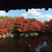 紅葉の好古園