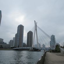 新川公園(北)方向からの様子(曇り空なのが残念です)