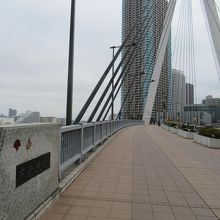 北東詰親柱辺りからの様子