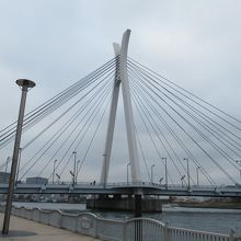 下流側右(西)岸方向からの様子