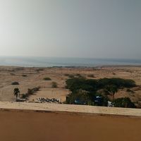 屋上からの眺め。周辺には死海しかない。