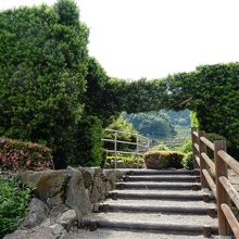 こんなアプローチ