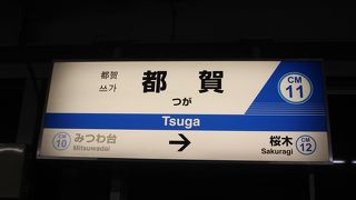 初めて乗ってみました　１月１１日