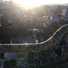 朝は逆光でした。