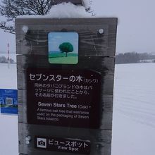 今も セブンスターの木 By ゆりりん セブンスターの木のクチコミ フォートラベル