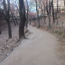 園内には歩きやすい遊歩道が整備されています