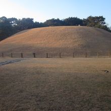 朝鮮第11代中宗王陵である靖陵は下から眺めるだけです