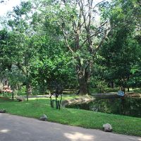 敷地内にはコテージが点在