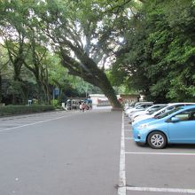 車中泊地 鹿児島市 城山公園 駐車場 By ツッチー 城山公園のクチコミ フォートラベル