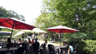 三島市楽寿園 第4回 肉とビールの祭典