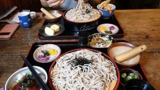 三島文教町の銀杏並木　そば処 恋路亭の昼食　三島市佐野体験農園 ナス・オクラ・トマトの収穫