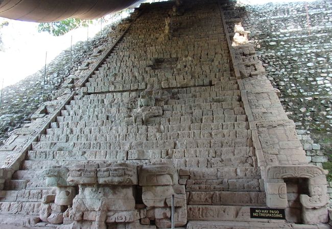 広い！ マヤの遺跡は神聖文字の階段だけじゃない。