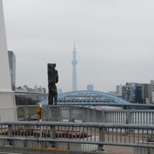 反対(下流)側歩道からの様子(永代橋などが一緒に見えます)
