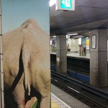 柱にはお尻シリーズが　遊び心満載です