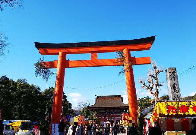 津島神社 クチコミ・アクセス・営業時間｜津島・愛西・蟹江【フォー 