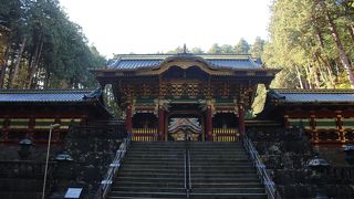 本当はライトアップが見たかった