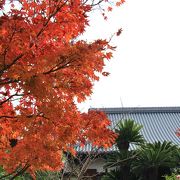 境内の紅葉が綺麗でした