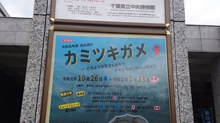 ただものではない博物館