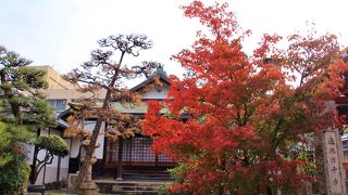 境内の紅葉が綺麗でした