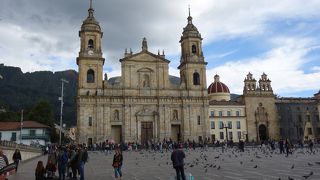 鳩だらけの広大な広場