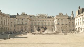 きれいな中庭にうっとり。