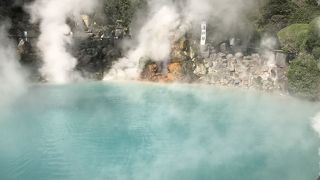 見ごたえあります