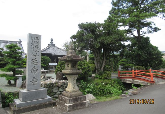 延命寺 (四国中央市)