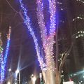 ワシントンホテルのイルミネーション