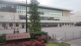 意外とマニアックな植物が入口付近に植えられています