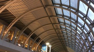 綺麗でそこそこ大きい