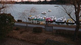 水戸の巨大な人造湖