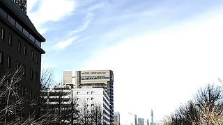 横浜人形の家やマリンタワーなど少しは風情がある大通り