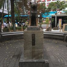ハチ公。
