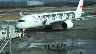 サッポロクラシックも飲めます