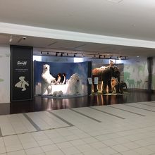 かわいいけど、チェーンがかかっているので触れません