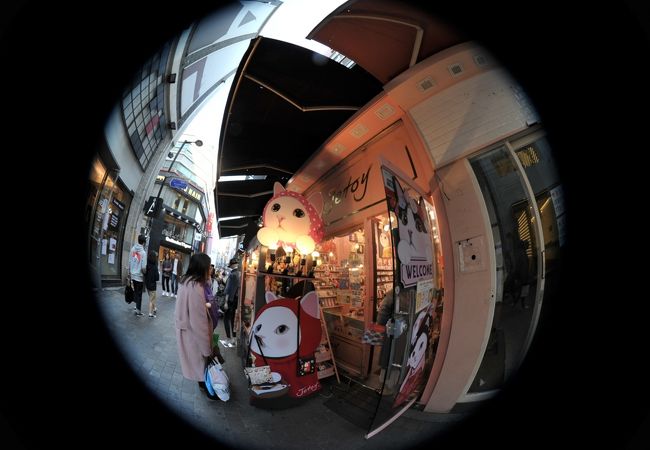 Jetoy (明洞2号店)