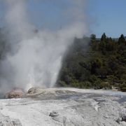 ロトルアの絶景♪