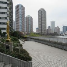 隅田川方向の様子(前方が佃島のビル群)