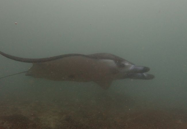 安かろう、悪かろうです！