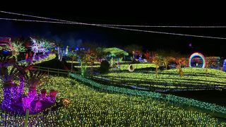 グランイルミは見に行く価値があると思います