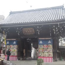 やっぱり本殿側からの方が綺麗に撮れますね。