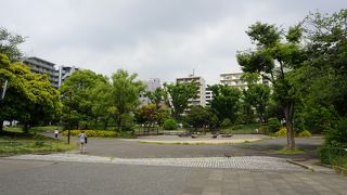 コンクリート敷の部分が多くて