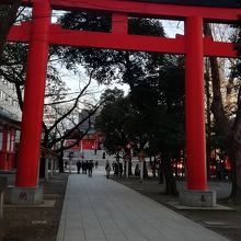 明治通り側の大鳥居です