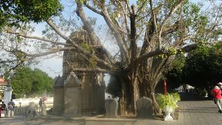 エントランス近くにありました。