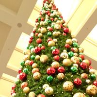 館内で一番大きなツリー