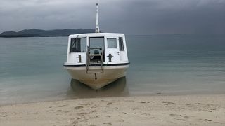 見応えある…トイレ！