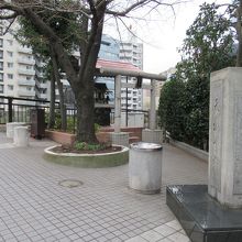 左前方からの様子(左手方向が南高橋の北西詰)