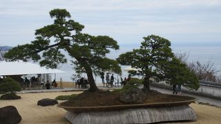 ローズガーデンに行って来ました