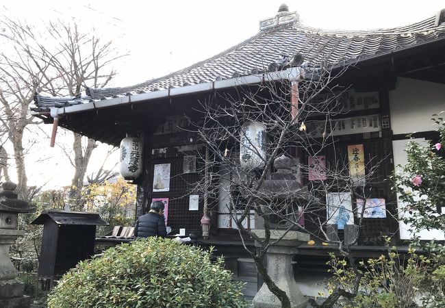 元慶寺 クチコミ アクセス 営業時間 山科 フォートラベル