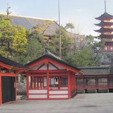 五重塔もここからだと綺麗に望めますね！